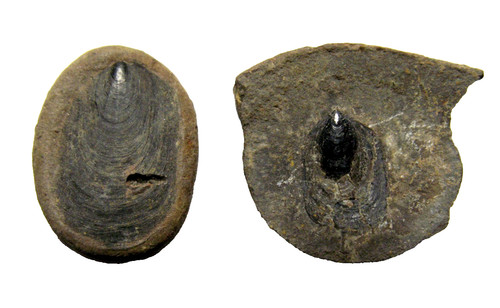 Mississippian imo pitkin - pitkin, fm