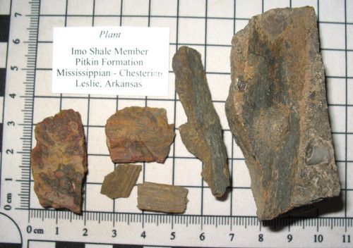 Mississippian pitkin imo - pitkin,